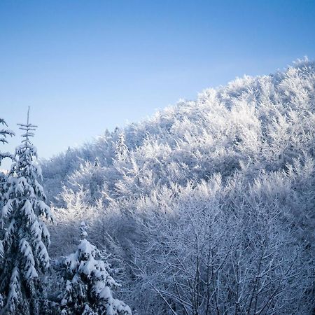 Poniwiec Mala Czantoria Ustroń Exterior foto