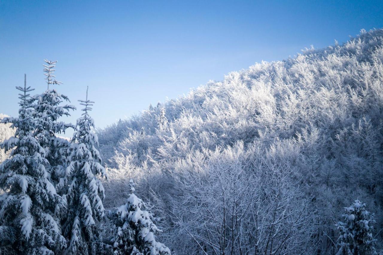 Poniwiec Mala Czantoria Ustroń Exterior foto